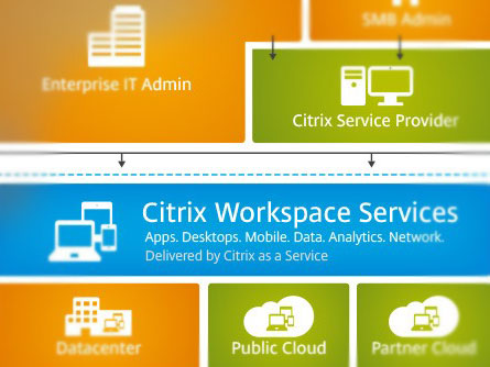 citrix workspace mac os